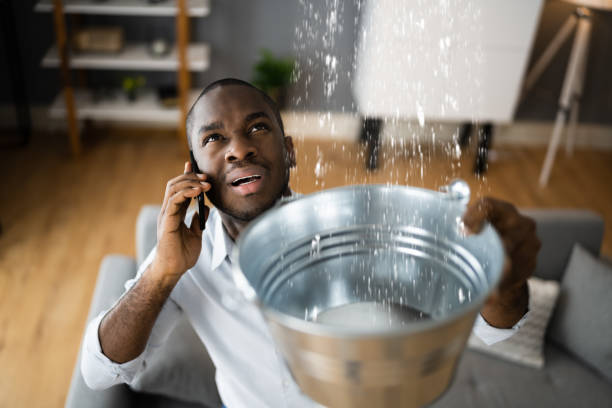 Best Professional water damage repair  in Culloden, WV