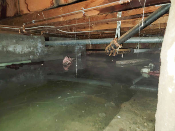 Sewage cleanup and water damage restoration in WV