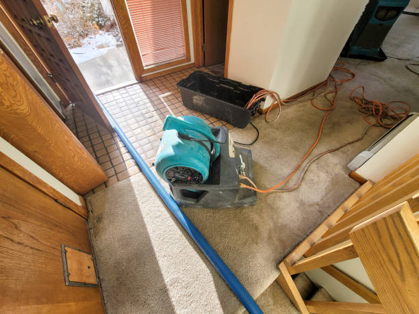 Best Fire Damage Restoration  in Culloden, WV