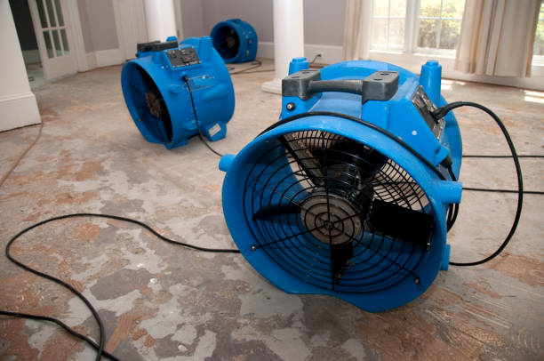 Best Flooded house restoration  in Culloden, WV