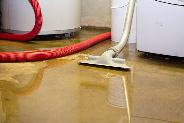 Best Professional water damage repair  in Culloden, WV