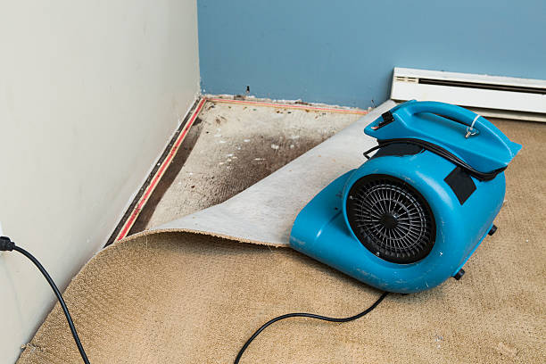 Best Water damage contractors near me  in Culloden, WV